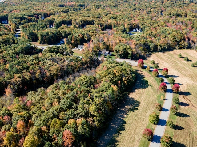 aerial view with a wooded view