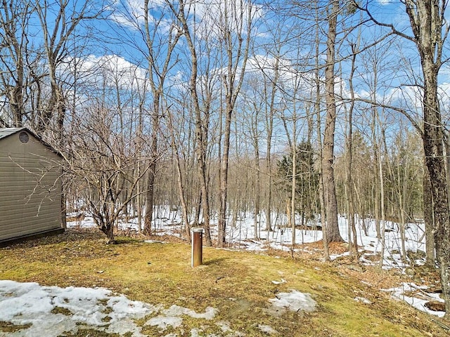 yard covered in snow with a storage shed and an outdoor structure