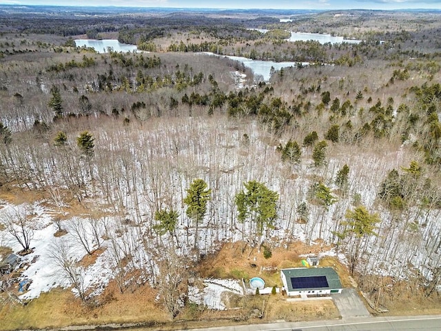 aerial view with a water view and a view of trees