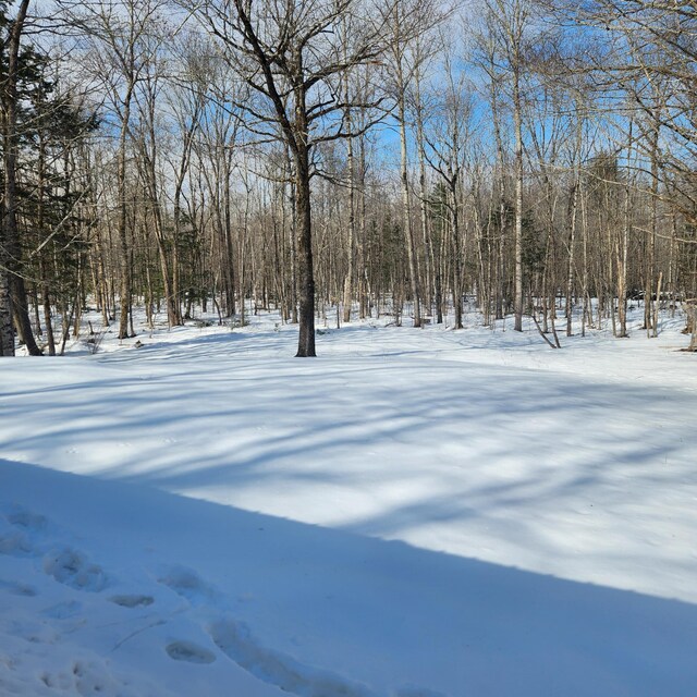 view of snowy yard