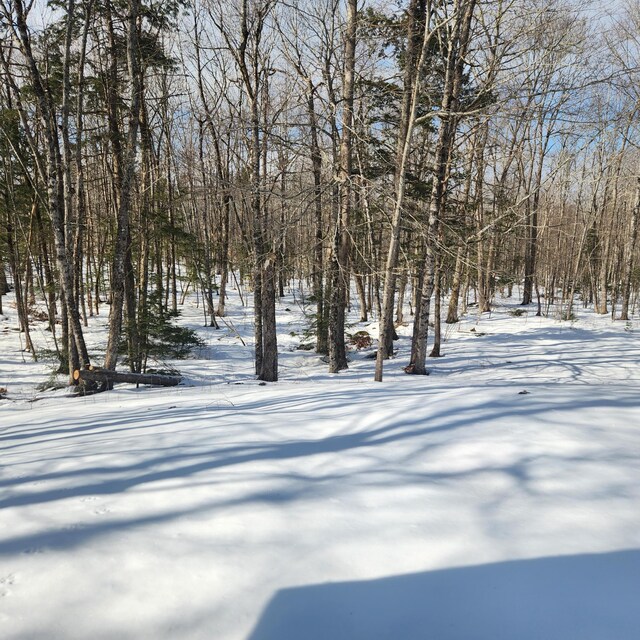 view of snowy yard