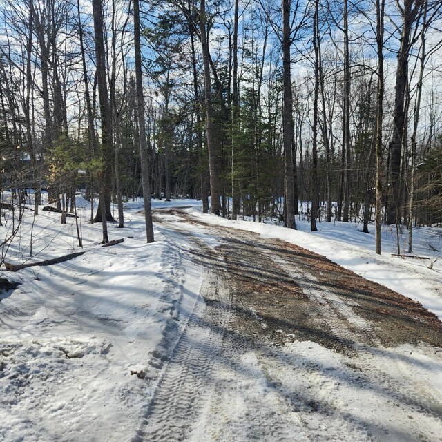 view of yard layered in snow