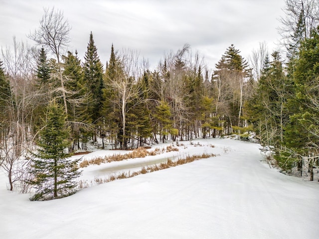 yard covered in snow with a wooded view