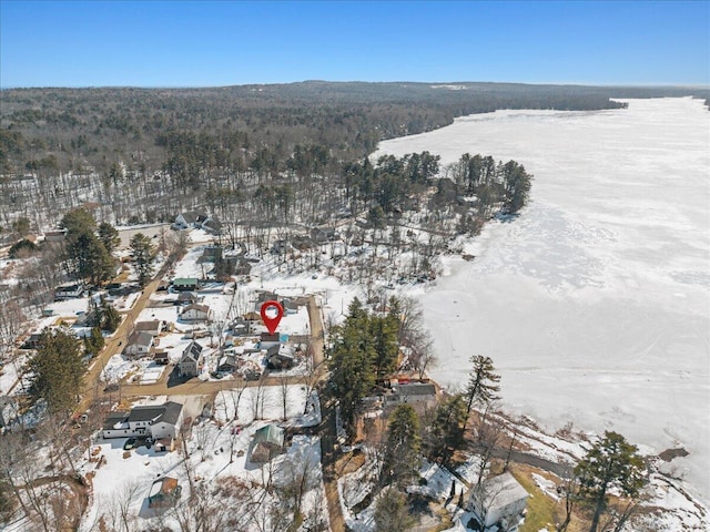 snowy aerial view with a forest view