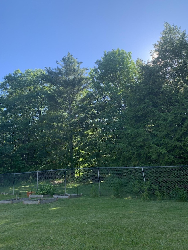 view of yard featuring a vegetable garden and fence