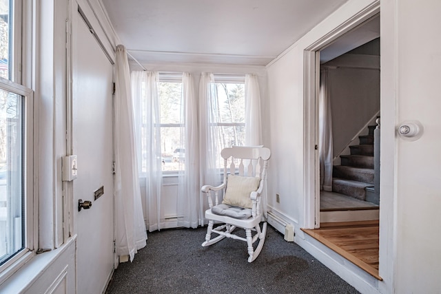 living area featuring stairway, dark carpet, and a baseboard radiator