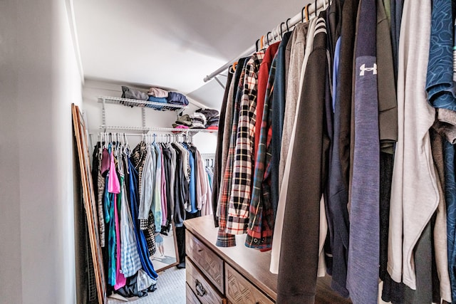 view of spacious closet