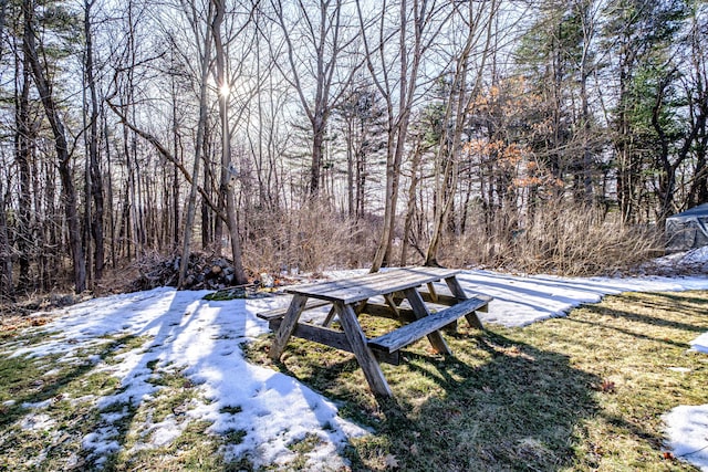 snowy yard with a forest view