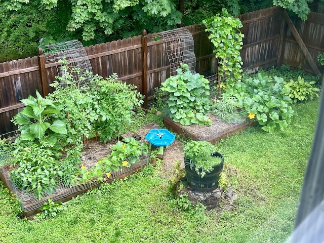 view of yard with a fenced backyard and a vegetable garden