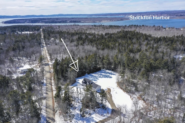 snowy aerial view with a water view and a forest view