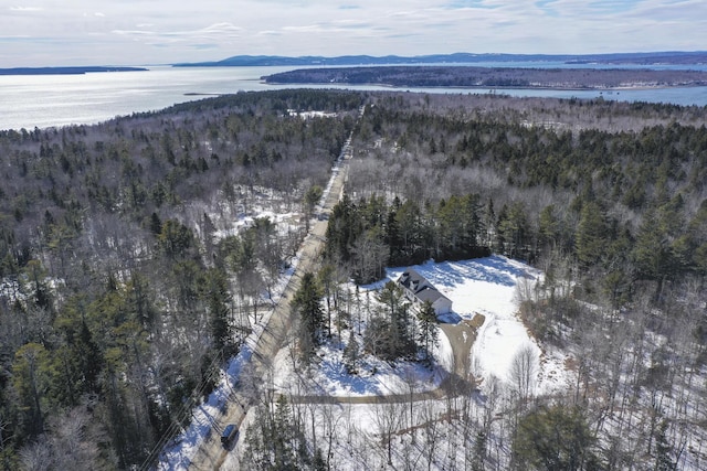birds eye view of property with a wooded view and a water and mountain view