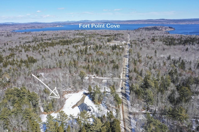 bird's eye view with a forest view and a water and mountain view