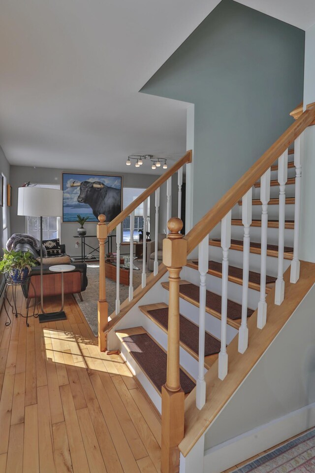 stairway with wood-type flooring