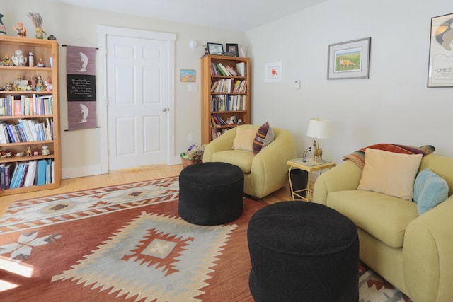 living area with wood finished floors