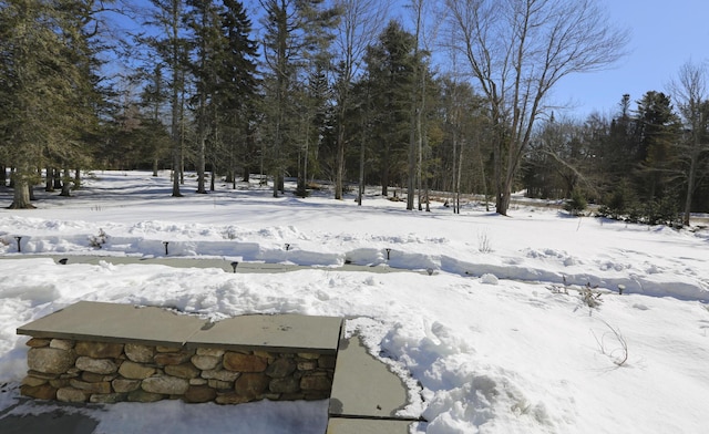 view of yard layered in snow