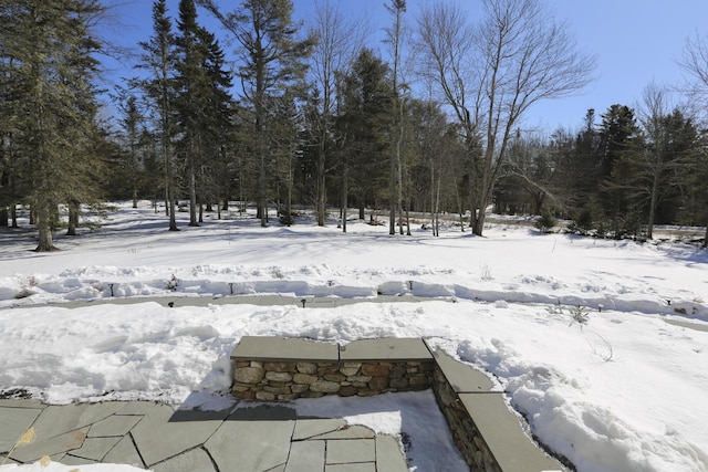 view of yard covered in snow