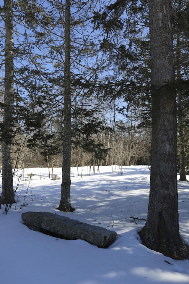 view of yard covered in snow