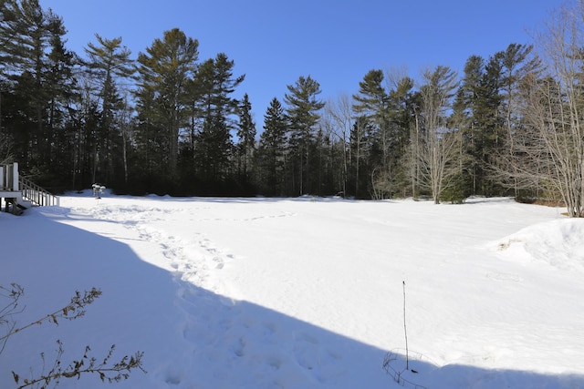 yard covered in snow with a wooded view