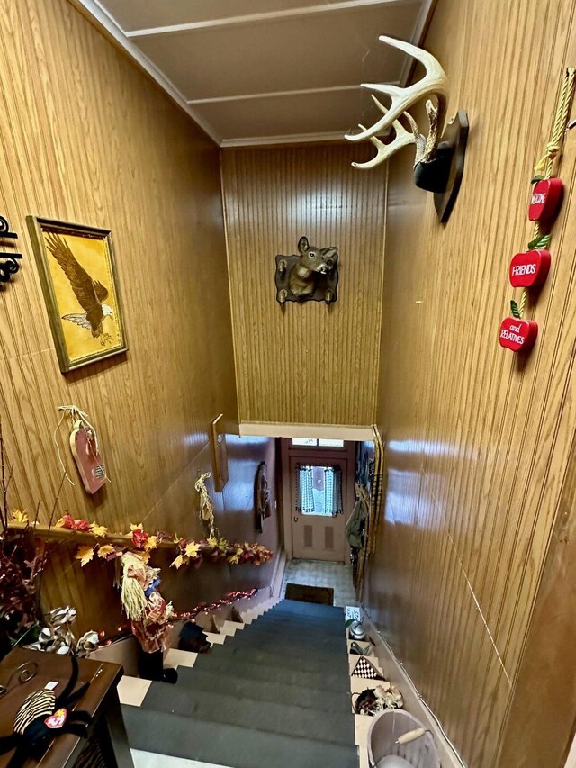 entryway featuring wood walls