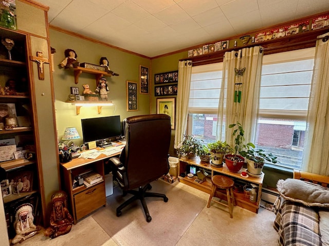 office area featuring carpet floors and ornamental molding