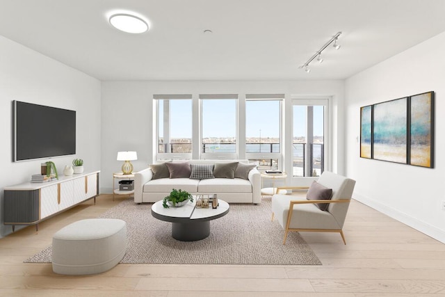 living room featuring baseboards, plenty of natural light, wood finished floors, and rail lighting