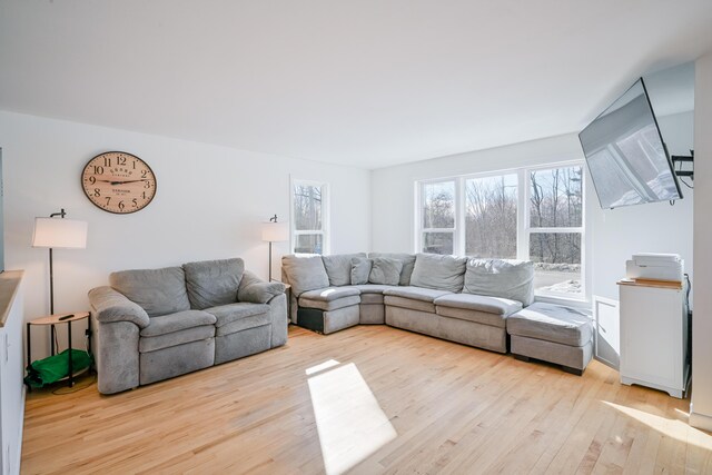 living room with wood finished floors