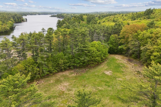 LOT14A Emery Mills Rd, Shapleigh, ME 04076