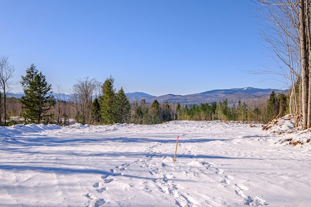 Listing photo 2 for LOT15-27A1 Taras Way, Bethel ME 04217