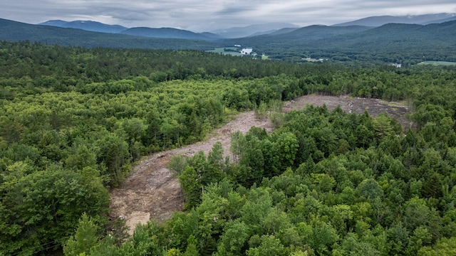 LOT15-27A1 Taras Way, Bethel, ME 04217 - photo 4