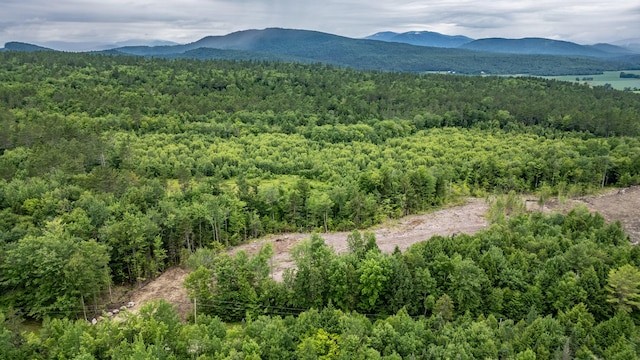 LOT15-27A1 Taras Way, Bethel, ME 04217 - photo 6