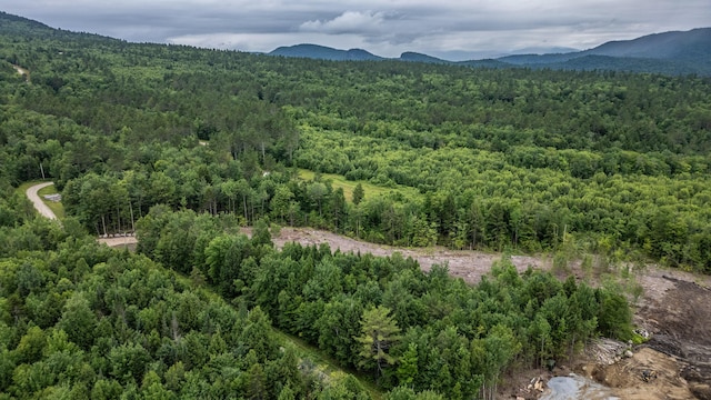 LOT15-27A1 Taras Way, Bethel, ME 04217 - photo 8