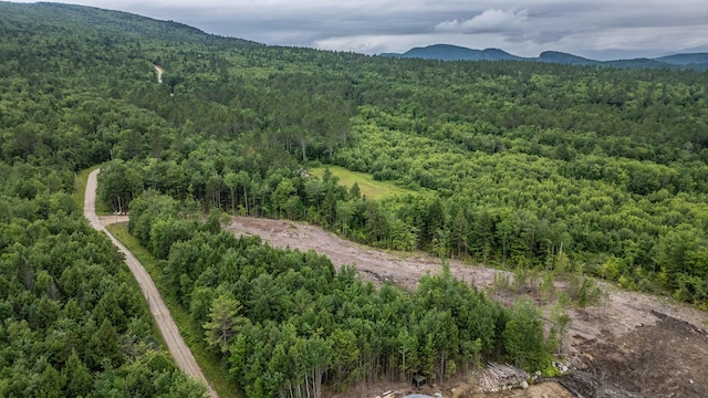 LOT15-27A1 Taras Way, Bethel, ME 04217 - photo 9