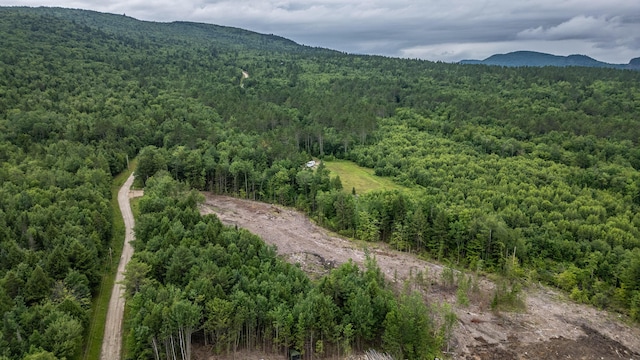 LOT15-27A1 Taras Way, Bethel, ME 04217 - photo 10