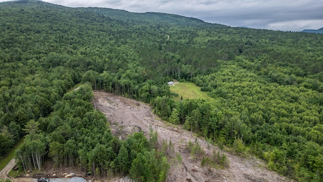 LOT15-27A1 Taras Way, Bethel, ME 04217 - photo 11