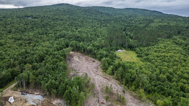 LOT15-27A1 Taras Way, Bethel, ME 04217 - photo 12