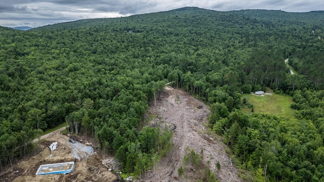 LOT15-27A1 Taras Way, Bethel, ME 04217 - photo 13