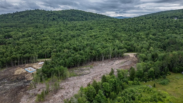LOT15-27A1 Taras Way, Bethel, ME 04217 - photo 16