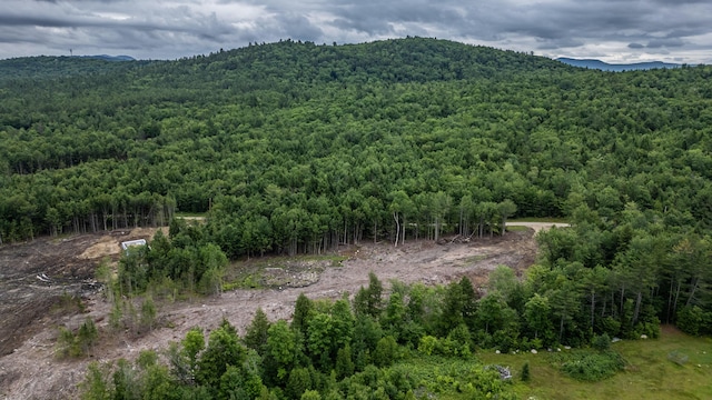 LOT15-27A1 Taras Way, Bethel, ME 04217 - photo 17