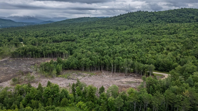 LOT15-27A1 Taras Way, Bethel, ME 04217 - photo 19