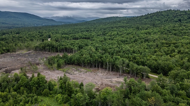 LOT15-27A1 Taras Way, Bethel, ME 04217 - photo 20