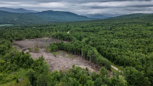 LOT15-27A1 Taras Way, Bethel, ME 04217 - photo 22