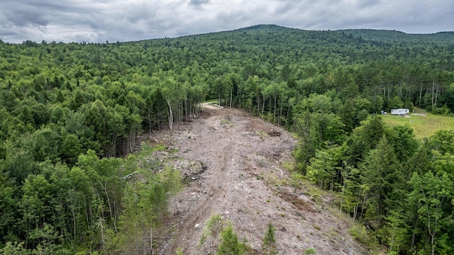 LOT15-27A1 Taras Way, Bethel, ME 04217 - photo 26