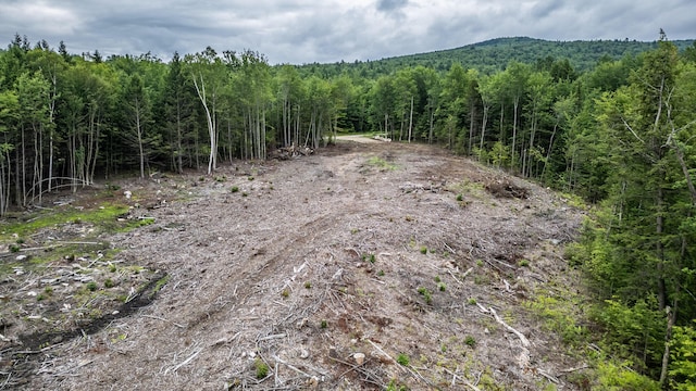 LOT15-27A1 Taras Way, Bethel, ME 04217 - photo 27