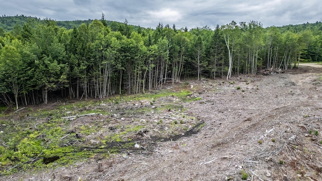 LOT15-27A1 Taras Way, Bethel, ME 04217 - photo 28