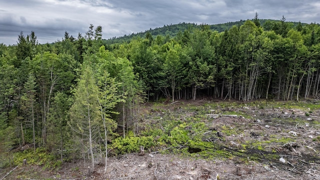 LOT15-27A1 Taras Way, Bethel, ME 04217 - photo 29