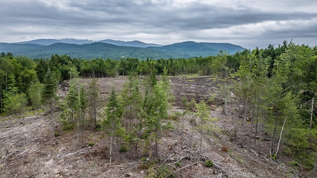 LOT15-27A1 Taras Way, Bethel, ME 04217 - photo 30