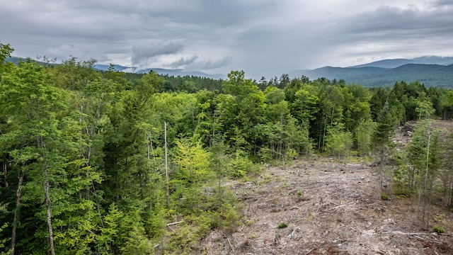 LOT15-27A1 Taras Way, Bethel, ME 04217 - photo 31