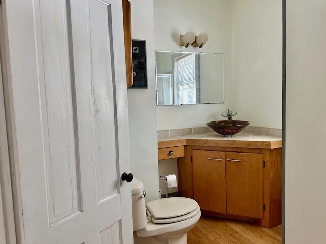 bathroom featuring toilet, vanity, and wood finished floors