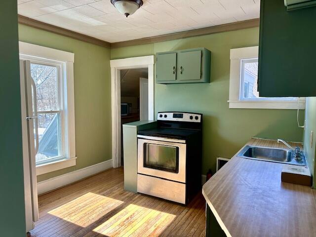 kitchen featuring wood finished floors, green cabinetry, electric range, freestanding refrigerator, and a sink