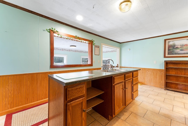 kitchen with a wainscoted wall, open shelves, a sink, crown molding, and dark countertops